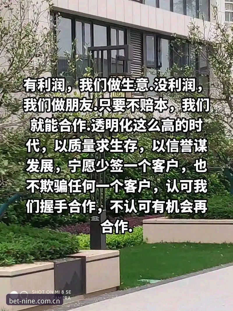 揭秘中文版十年信誉备用登录CN版：本地化界面背后的数据逻辑与操作细节